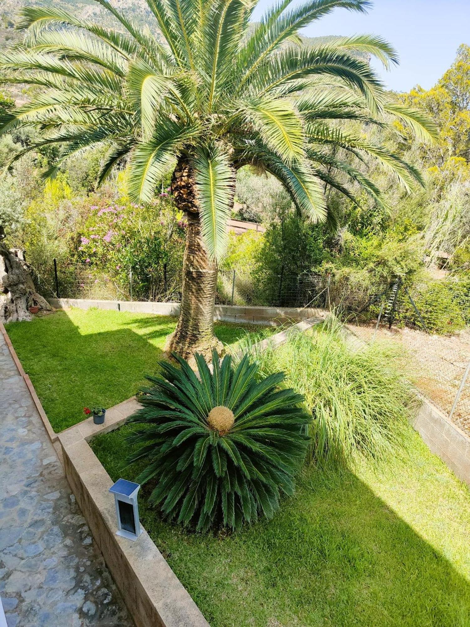 Villa Capllonch Banyalbufar Eksteriør billede